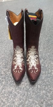 IMG_20260305_102134_648 (1)